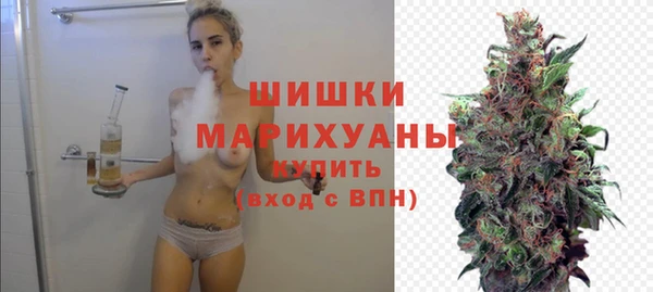мдпв Михайлов