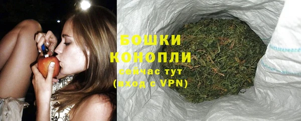 spice Надым