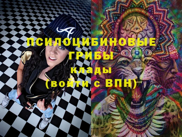 МДПВ Михайловка