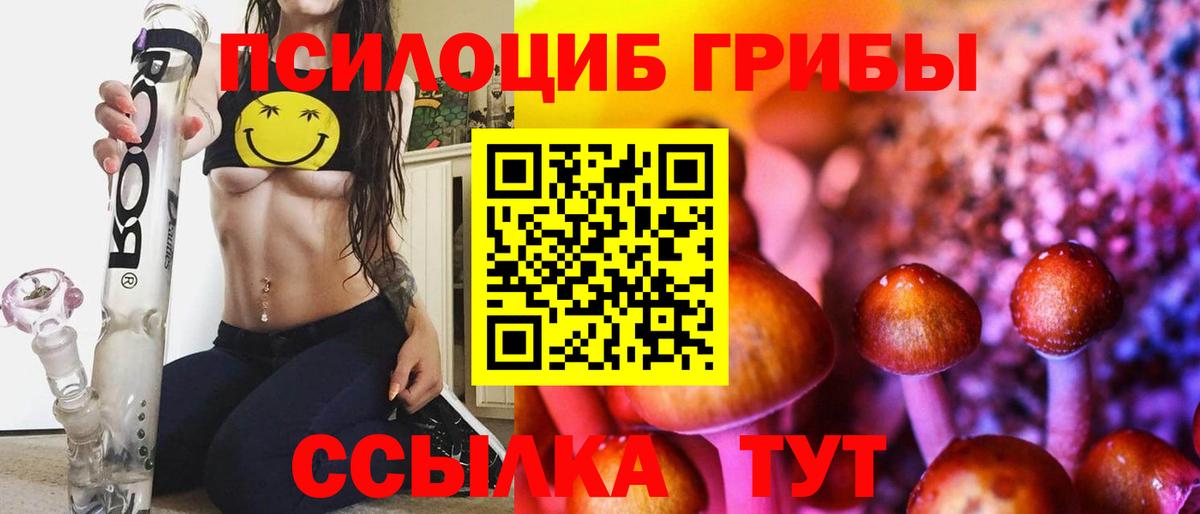 Псилоцибиновые грибы Psilocybe  Вход с VPN  Отрадное 