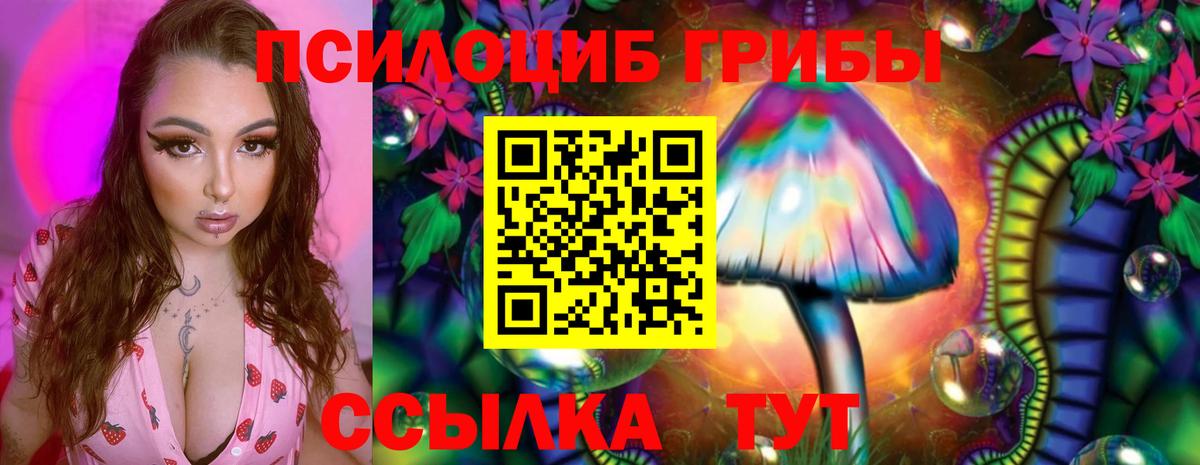 Галлюциногенные грибы Psilocybe Отрадное